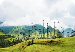 quindio-mini